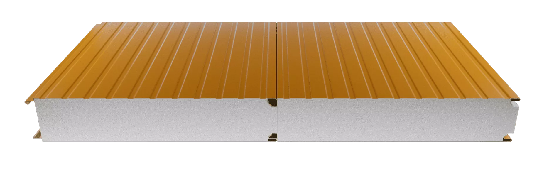 Traditional 11 RIB
